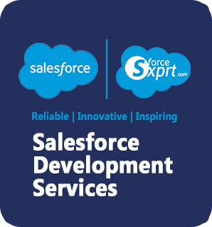 Salesforce Development Services